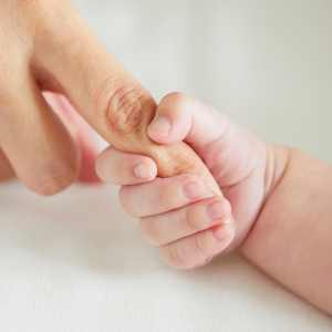 Banco de Leche Materna - Taller Online